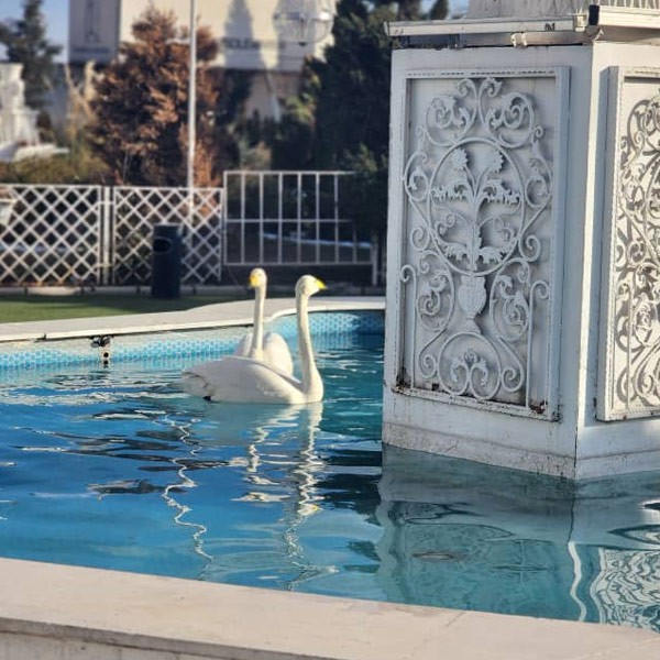 باغ تالار شمس العماره